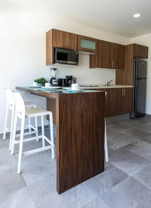 Suite De Lujo 1 Hab. Depto 203 Playa del Carmen Appartement